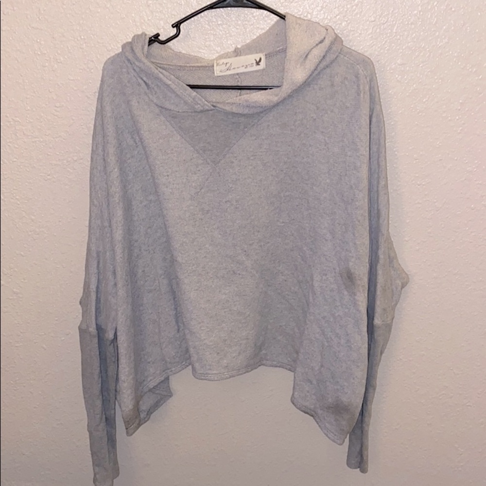 Grey Winged Hoodie Sweatshirt